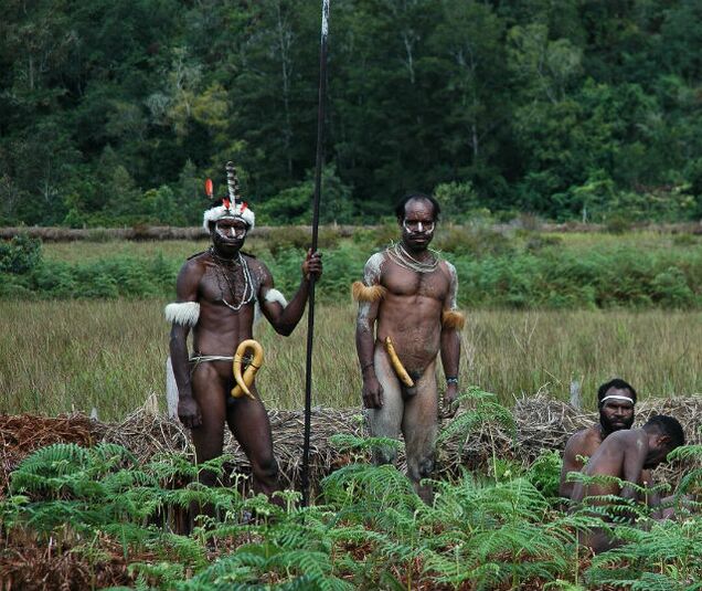 aborigēni ar paplašinātiem locekļiem
