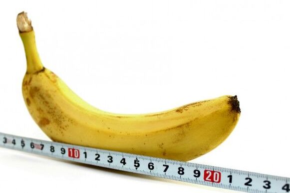 dzimumlocekļa mērīšana uz banāna piemēra
