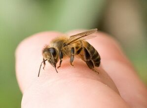 bites dzelonis dzimumlocekļa paplašināšanai