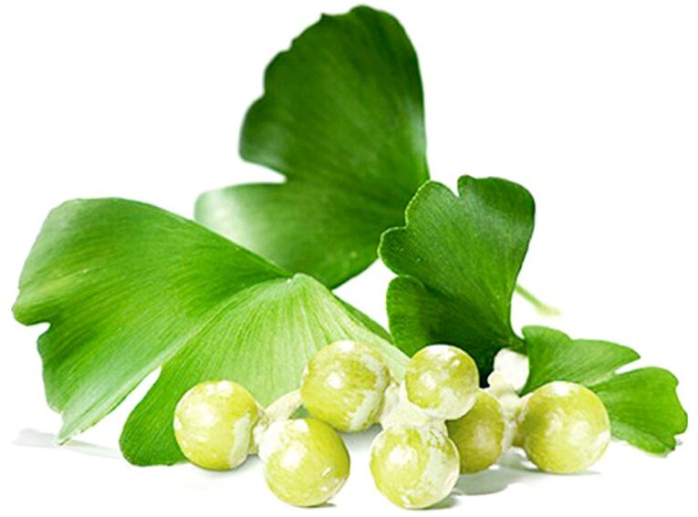Ginkgo biloba lapas uzlabo asinsriti dzimumlocekļa audos